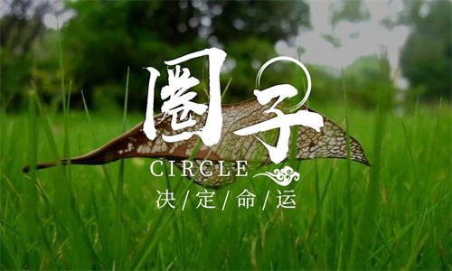 为什么你总是被别人割韭菜? 知识付费 创业 好文分享 第4张 为什么你总是被别人割韭菜? 知识付费 创业 好文分享 第4张